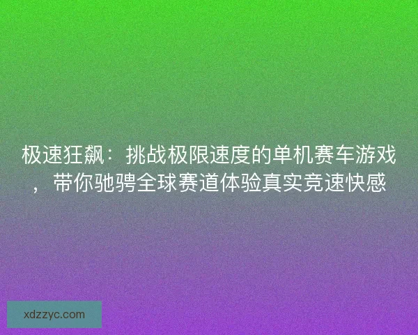 极速狂飙：挑战极限速度的单机赛车游戏，带你驰骋全球赛道体验真实竞速快感
