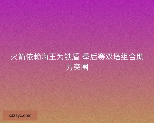火箭依赖海王为铁盾 季后赛双塔组合助力突围