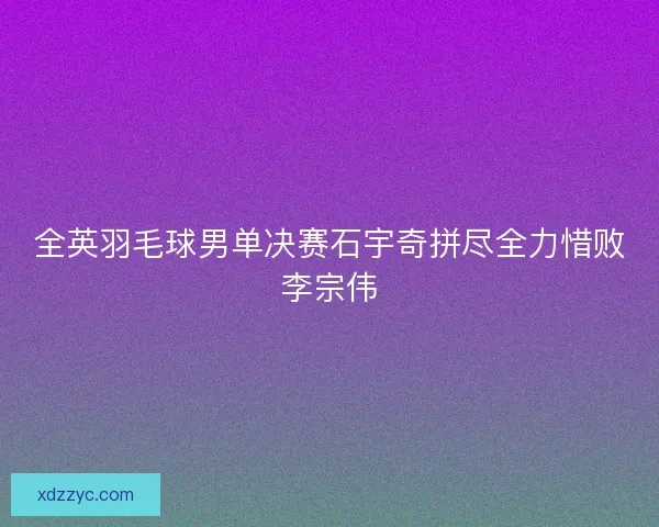 全英羽毛球男单决赛石宇奇拼尽全力惜败李宗伟
